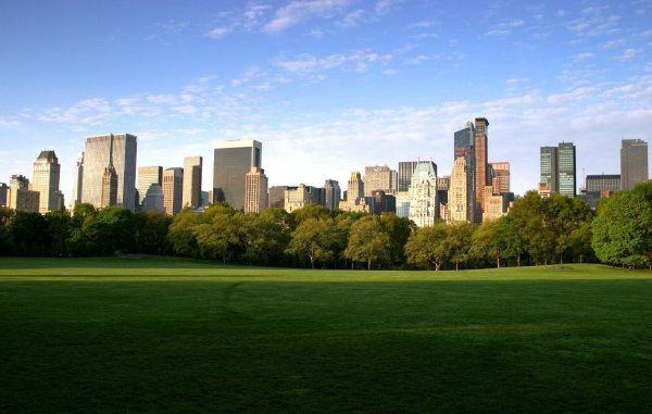 Центральный парк в Нью-Йорке панорама