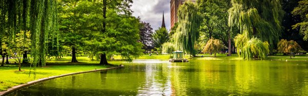 Сад панорама высокое разрешение