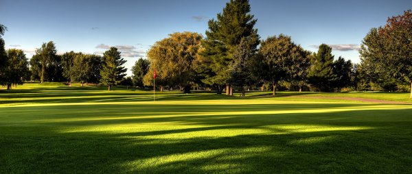 Фон для экстерьера