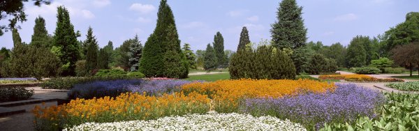 Сад панорама