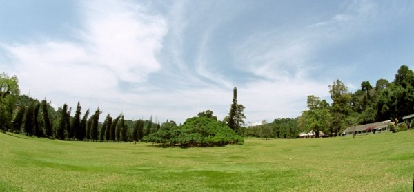 Панорама участка