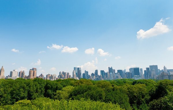Центральный парк Нью-Йорк