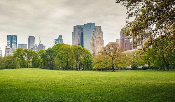 Вид за окном город