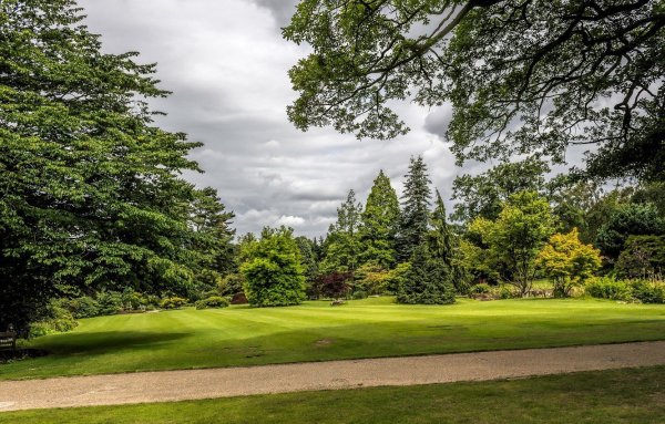 Лужайка в парке