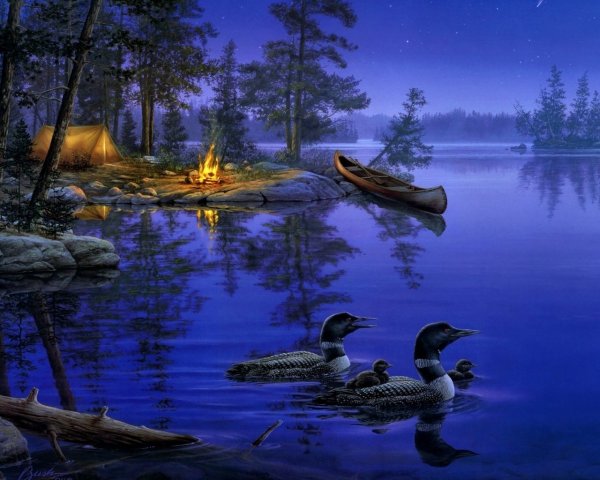 Даррелл Буш озеро ночью