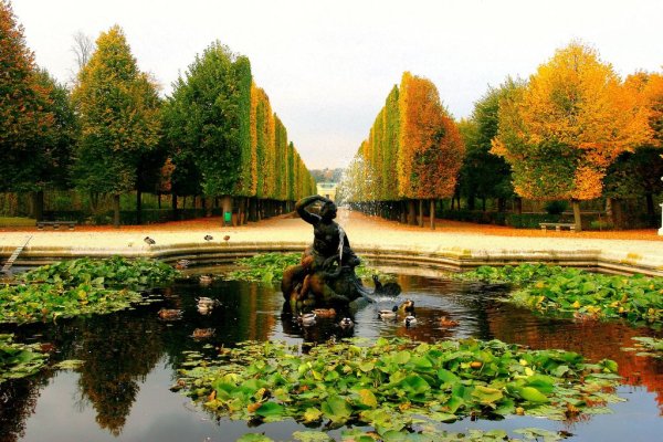 Вена парк Шенбрунн осенью