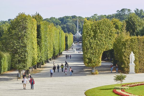 Деревья в парке шёнбрунн. Австрия, Вена