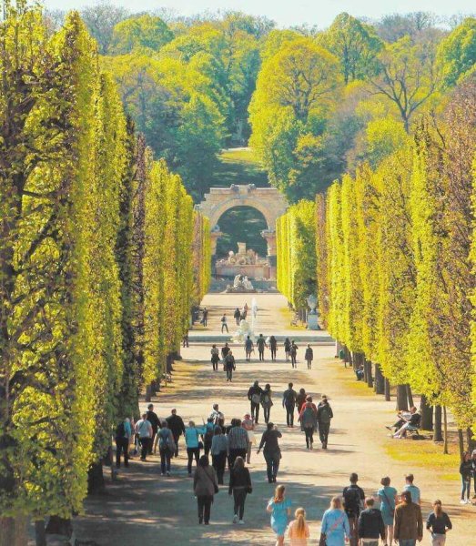 Австрия парк Шенбрунн