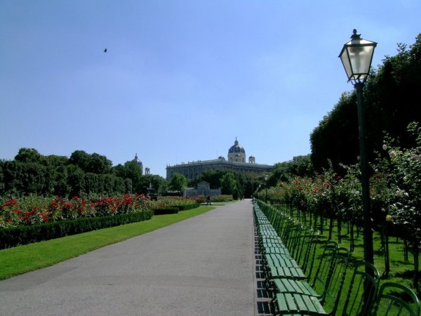 Вена парк роз