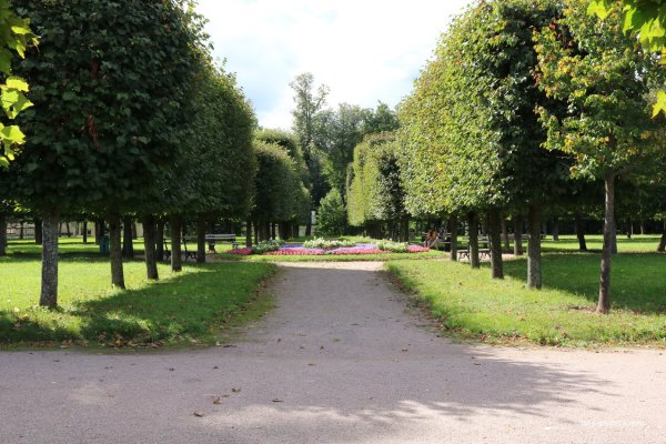 Архангельское музей усадьба Липовая аллея