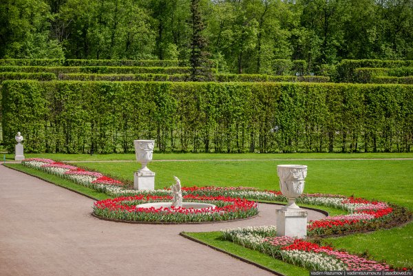 Парк усадьба Архангельское