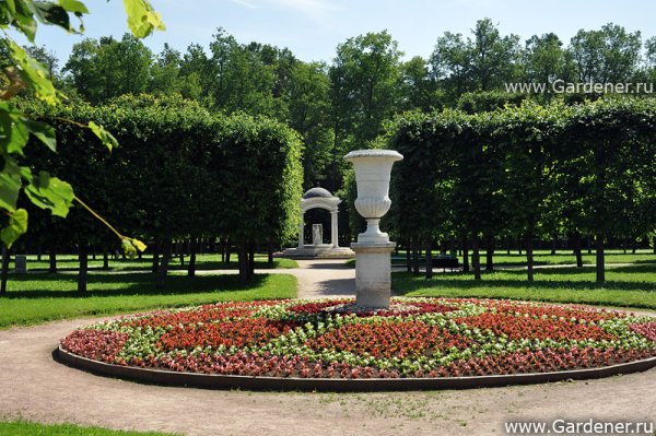 Усадьба Архангельское ландшафт