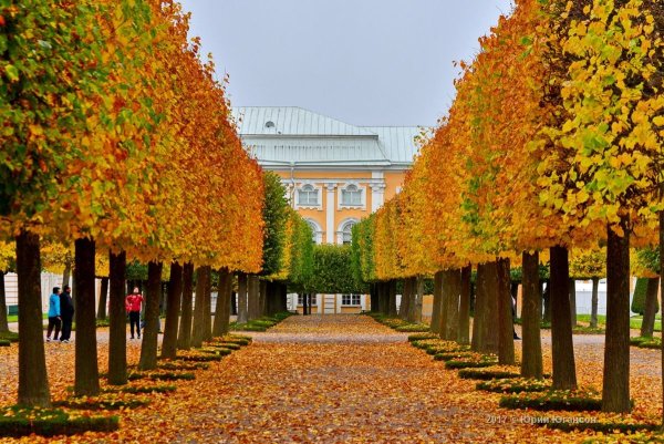 Петергоф в Санкт-Петербурге парк осень