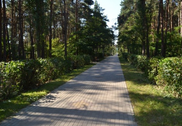 Воронеж Советский район парк Танаис