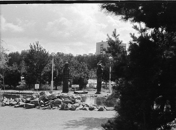 Воронеж парк Танаис в 70 годы