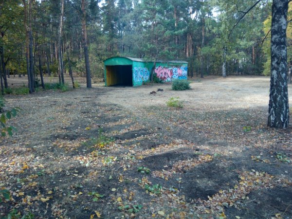 Воронеж Советский район парк Танаис