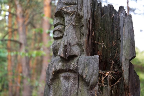 Поляна сказок Танаис