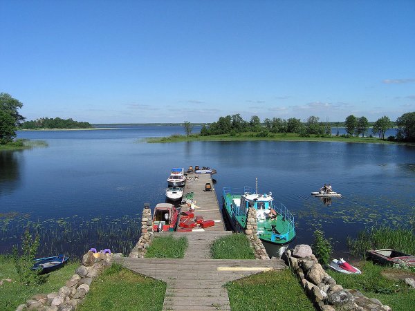 Сосница Селигер