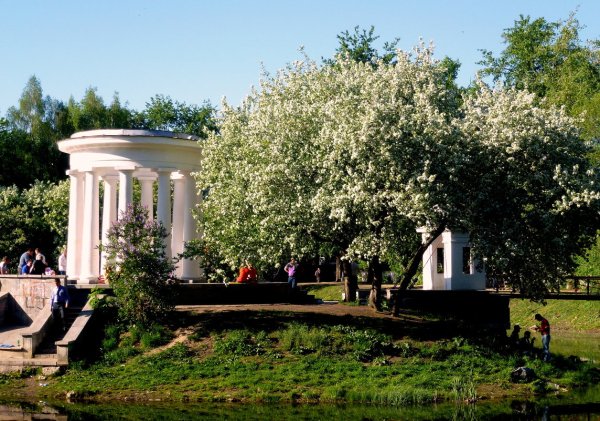 Парк Харитоновский парк весной