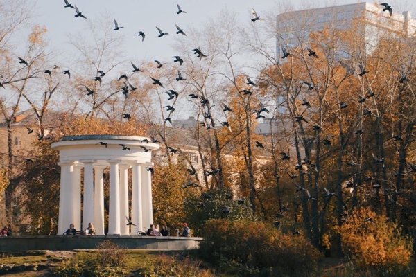 Харитоновский сад Екатеринбург птицы
