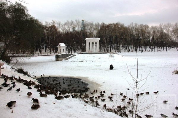 Харитоновский сад Екатеринбург зимой