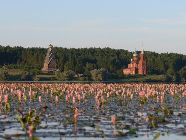 Тверская область Ширков Погост