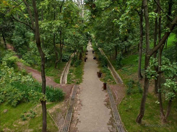 Нескучный сад в Москве растительность