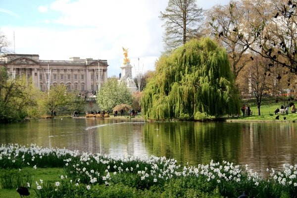 Сент-Джеймсский парк в Лондоне