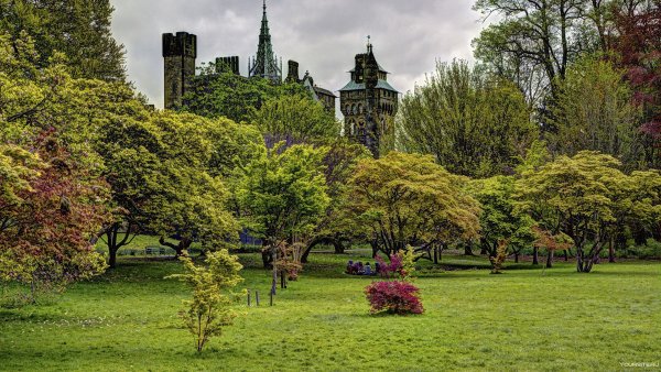 Парк в Англии парк Уэльса