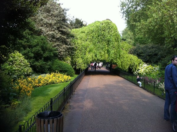 Грин парк Лондон