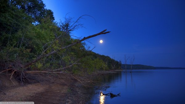 Берег реки ночью