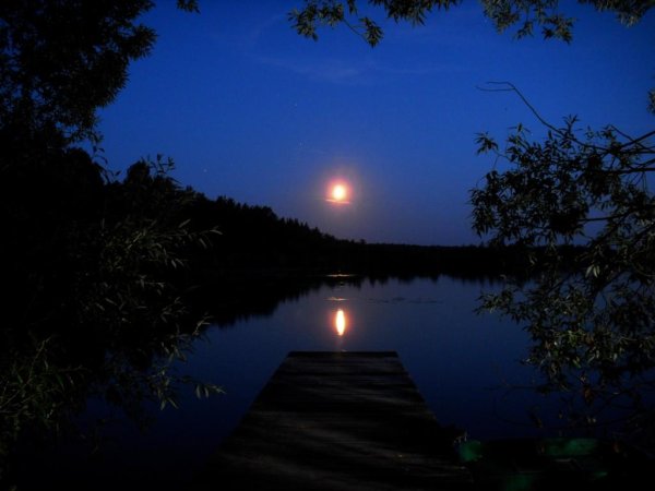 Берег озера ночью