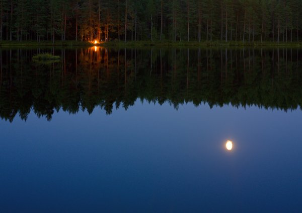 Лесное озеро ночью