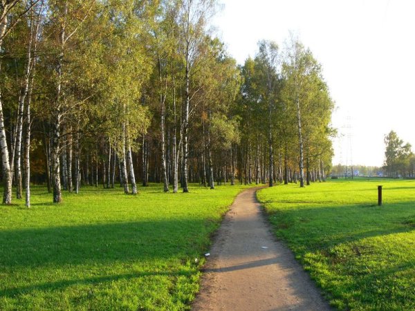Пискаревский парк