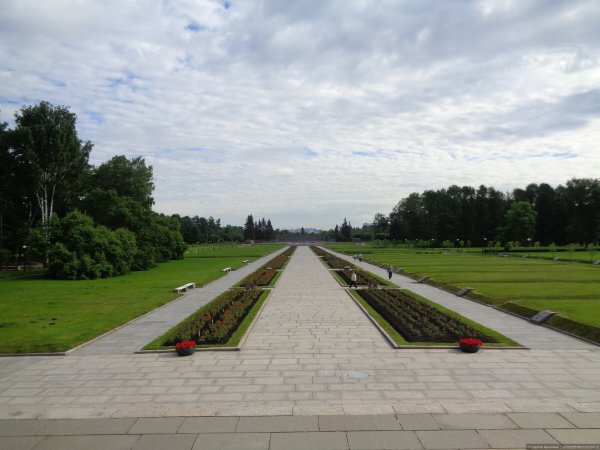 Пискарёвское мемориальное кладбище Центральная аллея