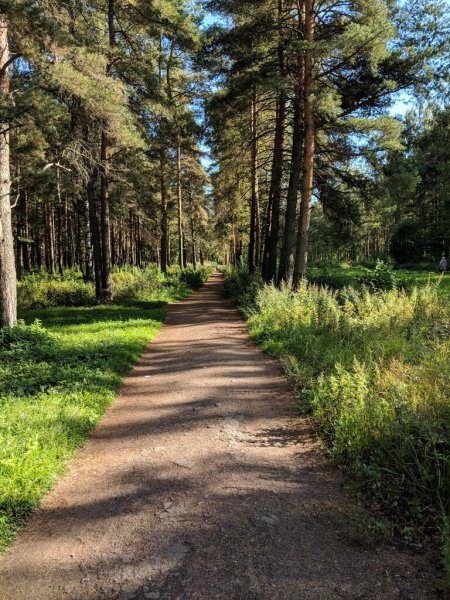 Пискаревский парк СПБ