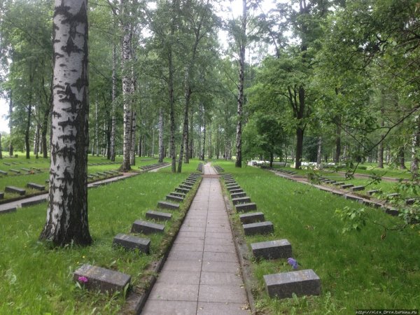 Пискаревский парк