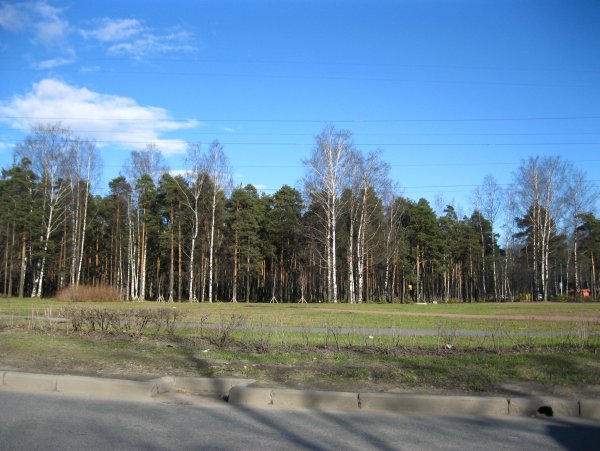 Пискаревский парк в Санкт-Петербурге