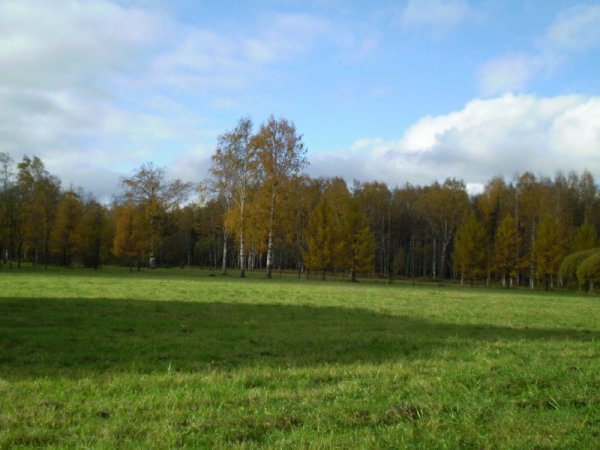 Пискаревский лесопарк