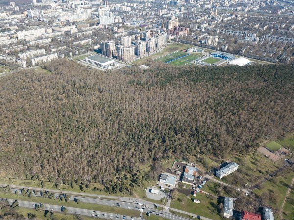 Пискаревский парк в Санкт-Петербурге