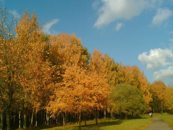 Пискаревский парк в Санкт-Петербурге