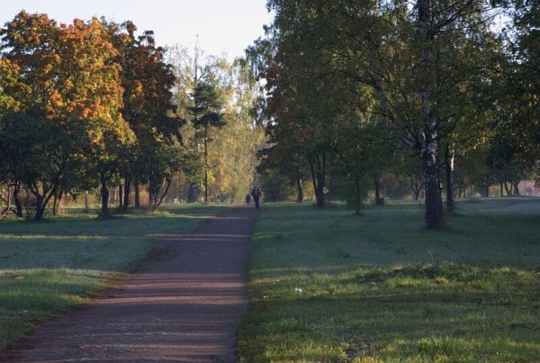 Пискаревский парк озеро