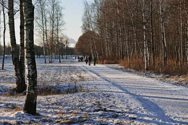 Пискаревский парк