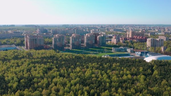 Пискаревский лесопарк