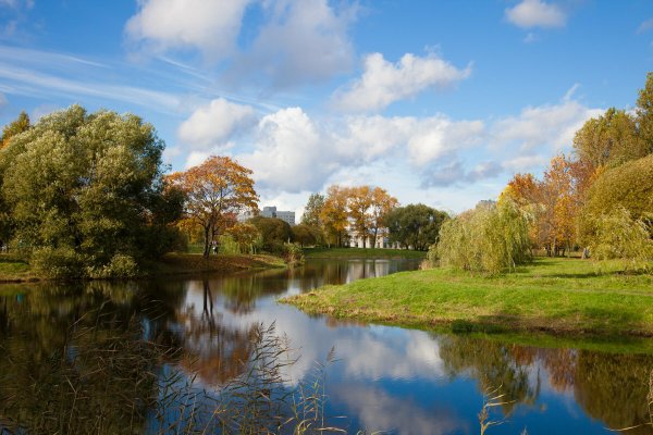 Питер парк Александрино