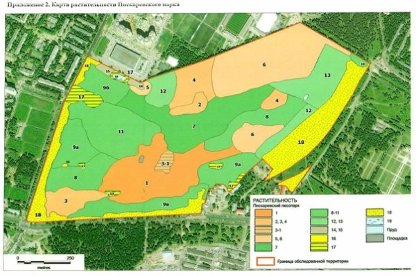 Пискаревский лесопарк