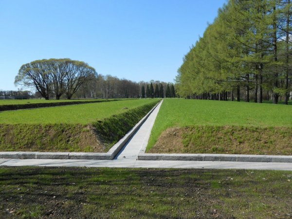 Пискаревский парк перспективы