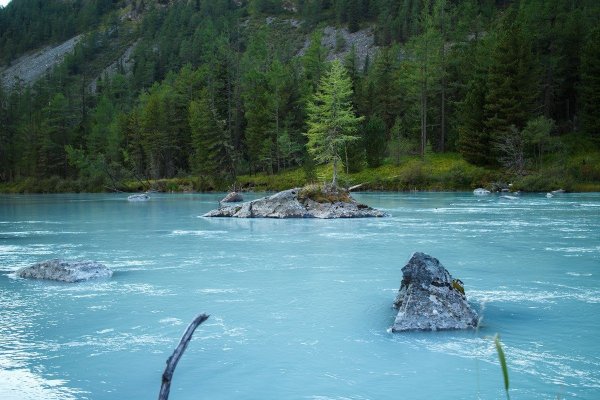 Алтай река Кучерла