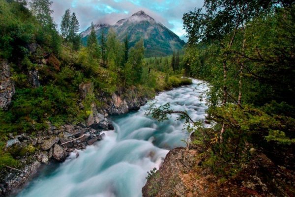 Алтайский край река горный Алтай