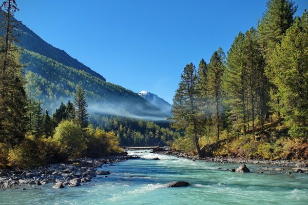 Алтай Кучерла Долина реки